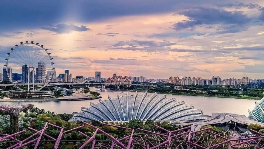 澳利澳六肖18码图,没有一颗香椿芽能过完春天,经济性执行方案剖析_工具版V3.21